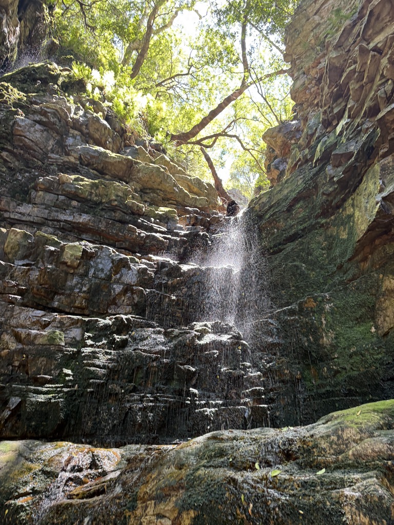 A waterfall cascading through mountain rock and green canopy