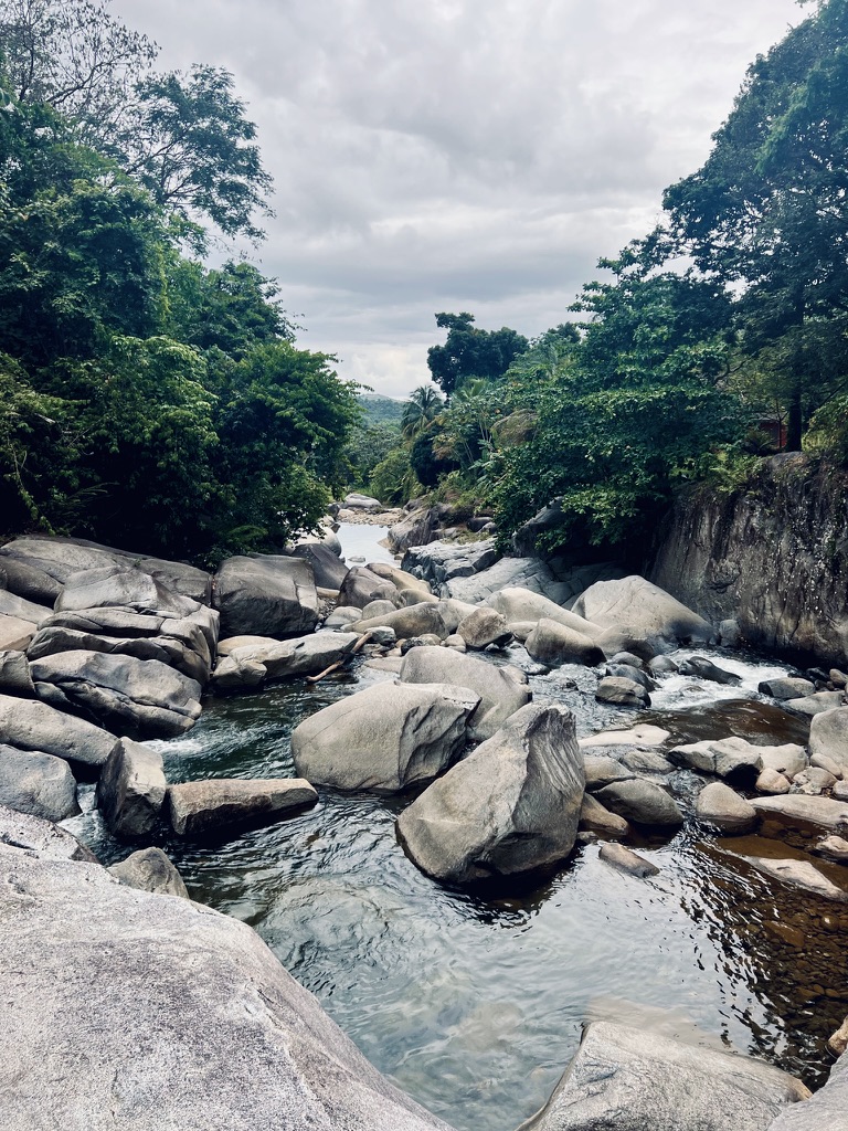 A rocky mountain river flowing through dense green forest