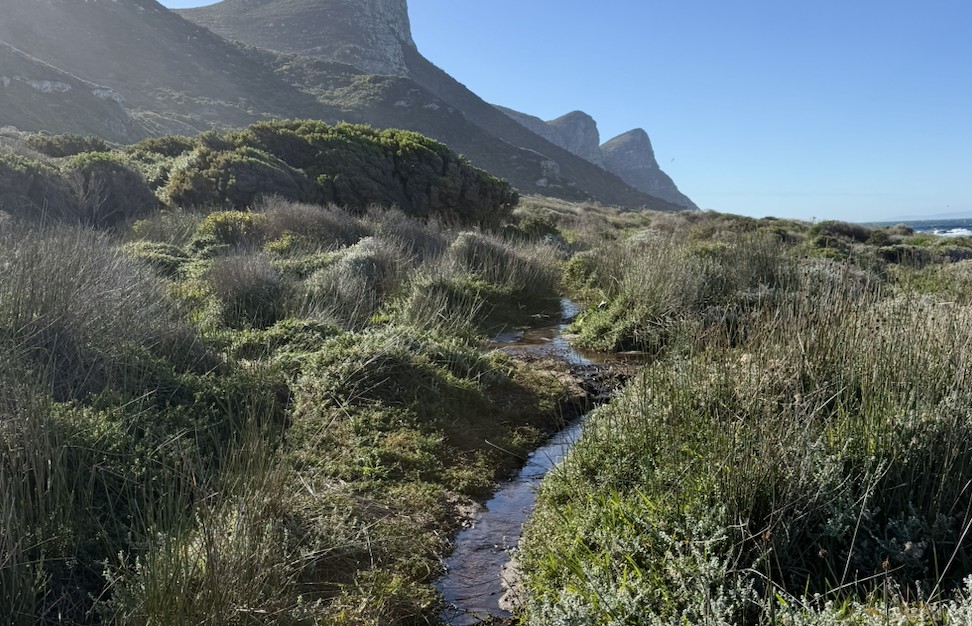 A wide view of a narrow stream winding through coastal scrub toward sharp mountain peaks, the sea glinting on the horizon