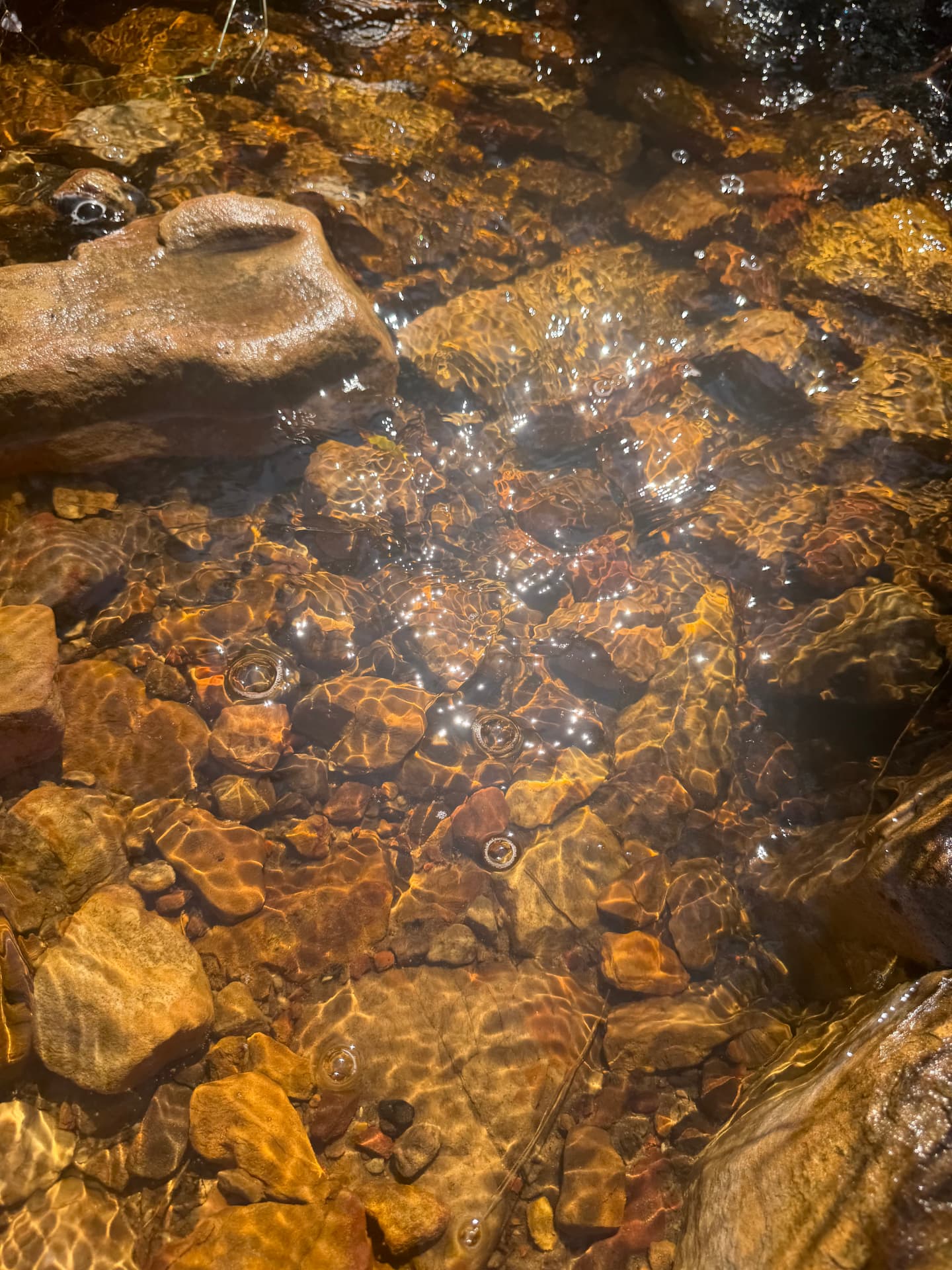 Mountain water running over stone beneath Cape peaks